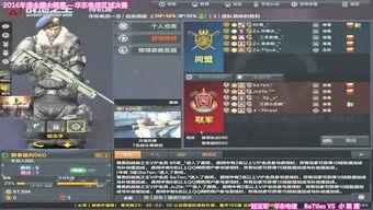 飞哥全网爆料视频大全最新,揭秘热点事件，洞察社会真相